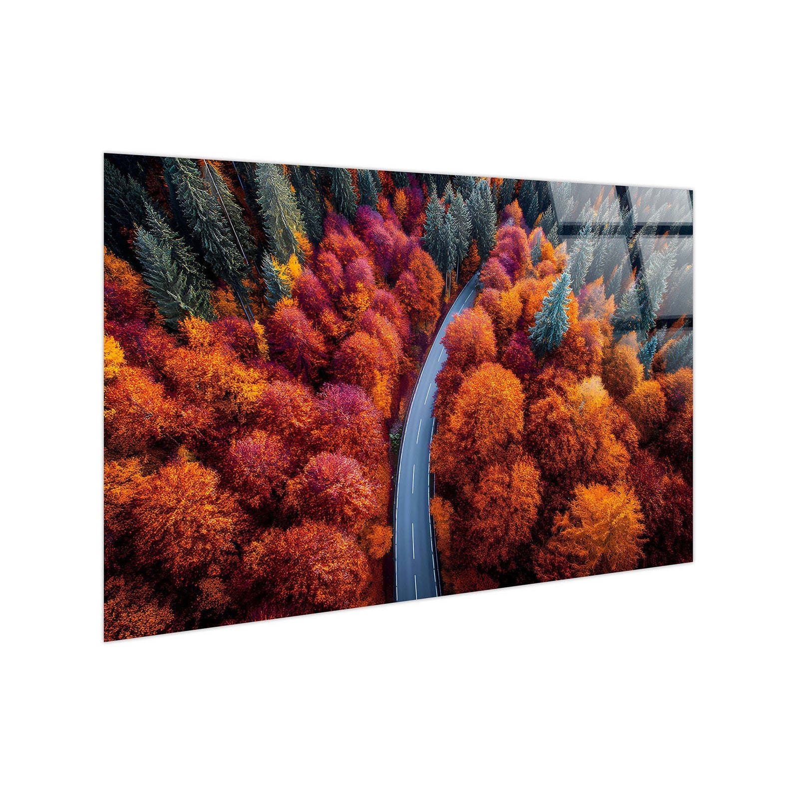 Classy Living Expansive Autumn Bend 40"x60", Orange/Red/Green/Black