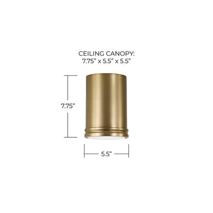 Capital Lighting Griffin 1 Light 6" Flush Mount, Aged Brass
