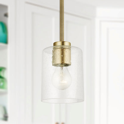 1 Light Pendant