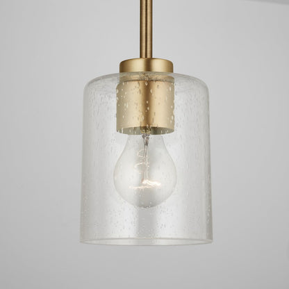1 Light Pendant