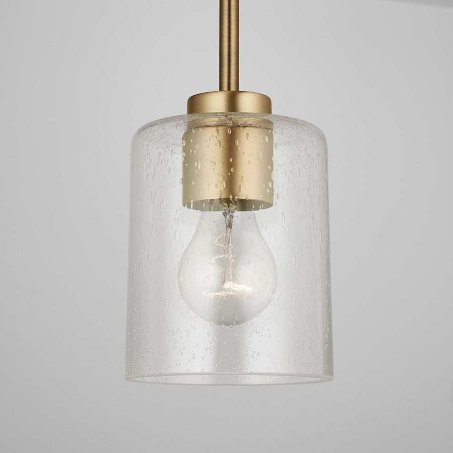 1 Light Pendant