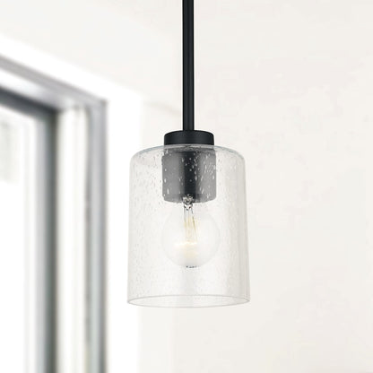 1 Light Pendant
