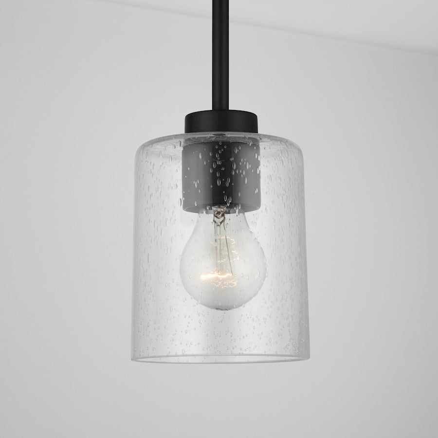 1 Light Pendant