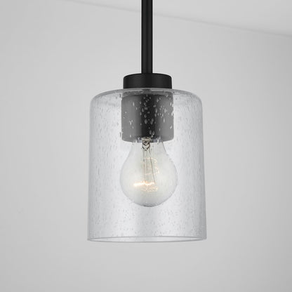 1 Light Pendant