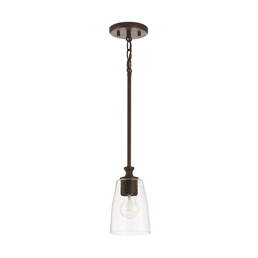 1 Light Pendant