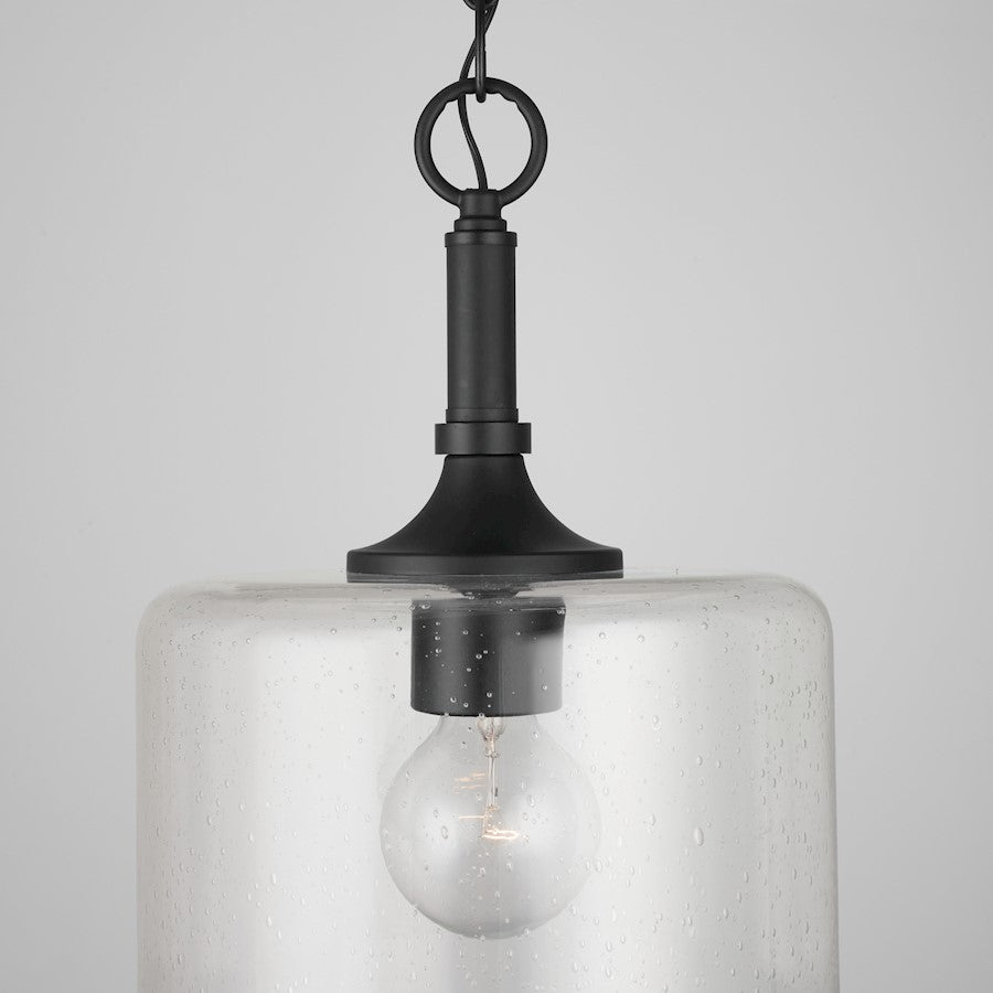1 Light Pendant