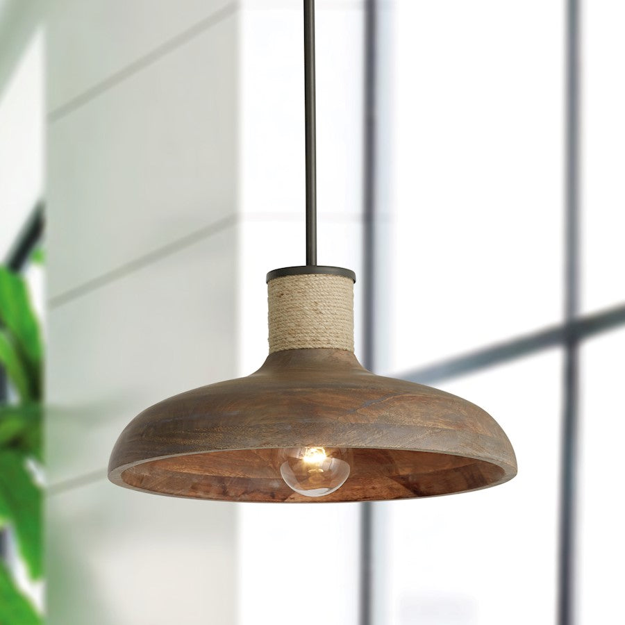1 Light Pendant, Grey WIron Silk