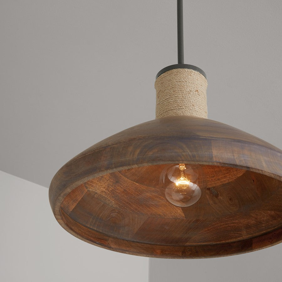 1 Light Pendant, Grey WIron Silk