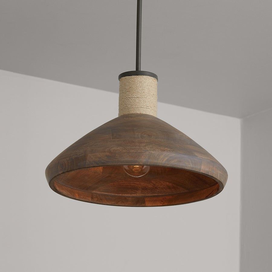 1 Light Pendant, Grey WIron Silk