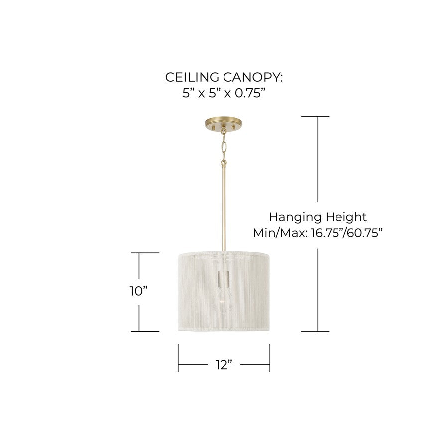 Capital Lighting Tara 1 Light 12" Drum Pendant, Matte Brass