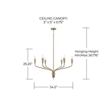 Capital Lighting Palmer 6 Light Chandelier, Antiqued Brass