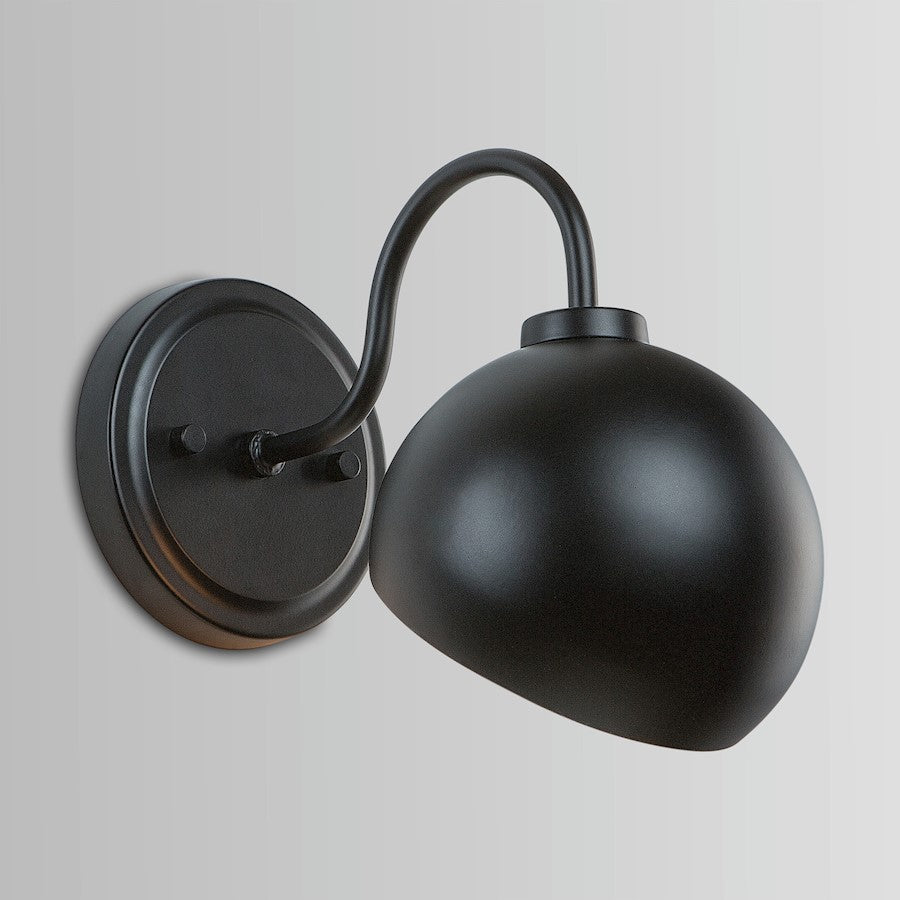 1 Light Wall Sconce