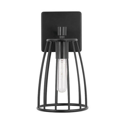 1 Light Wall Sconce