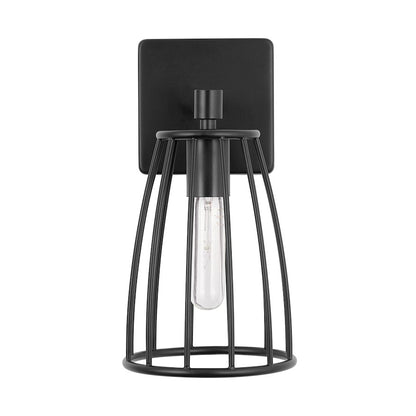 1 Light Wall Sconce