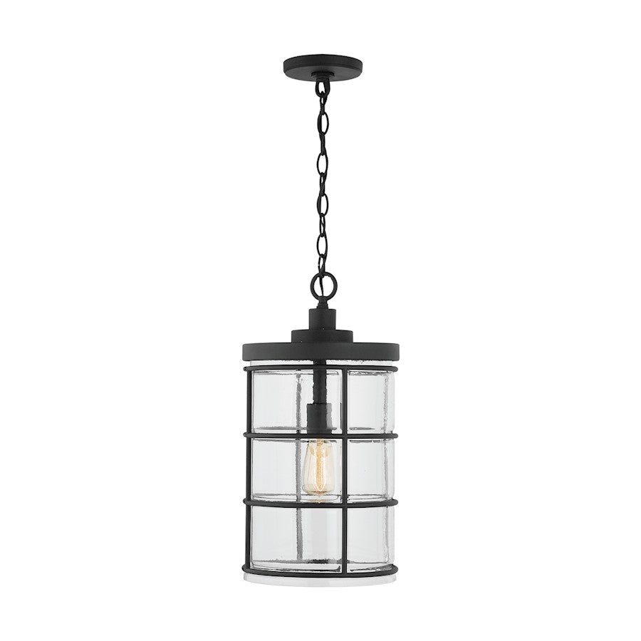 Capital Lighting Outdoor 1-Light Pendant