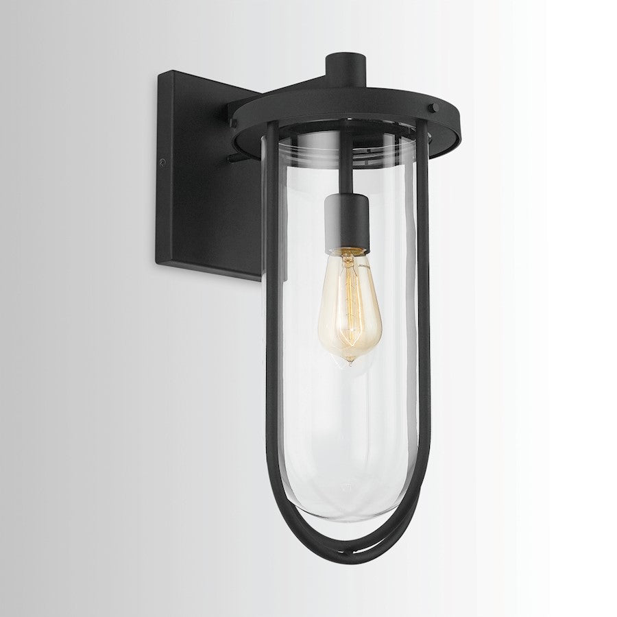 1 Light Wall Sconce