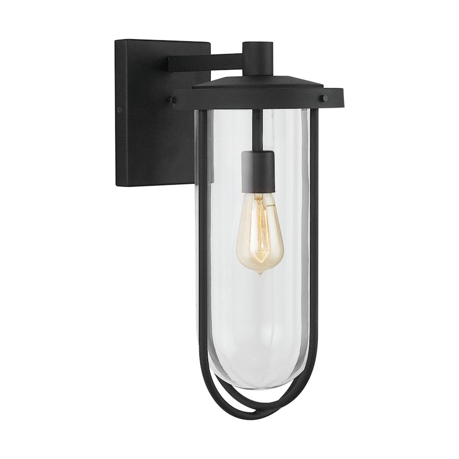 1 Light Wall Sconce