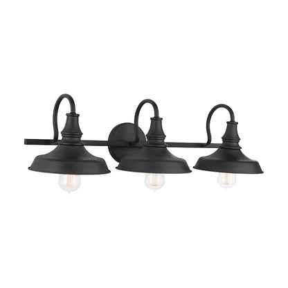 3-Light 29" Bathroom Vanity Light, Old Bronze