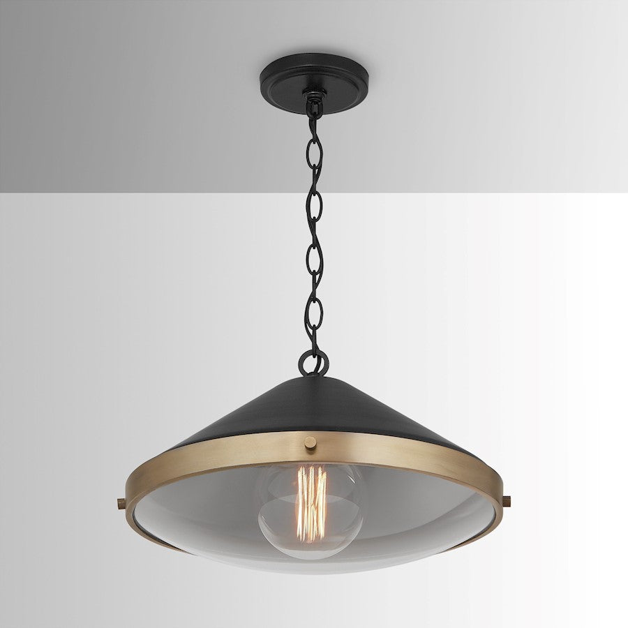 1 Light Pendant