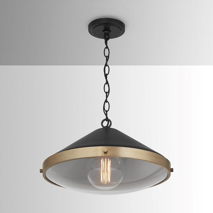 1 Light Pendant