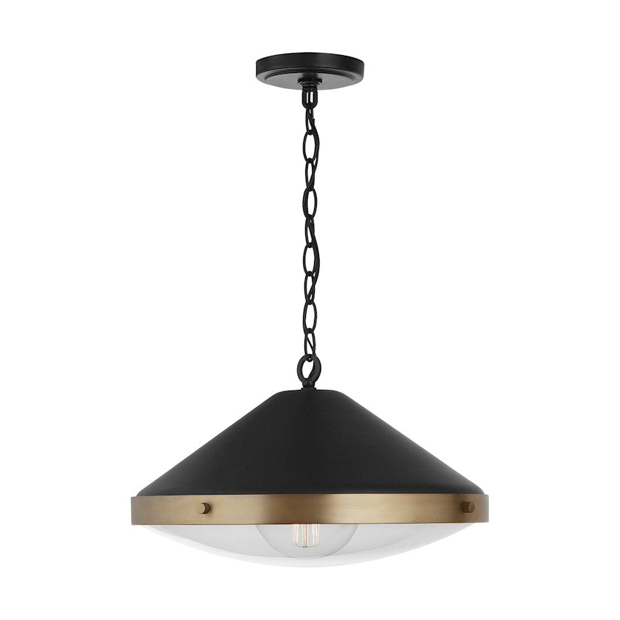 1 Light Pendant