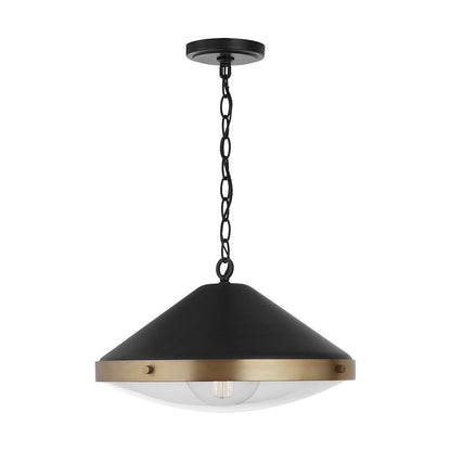 1 Light Pendant