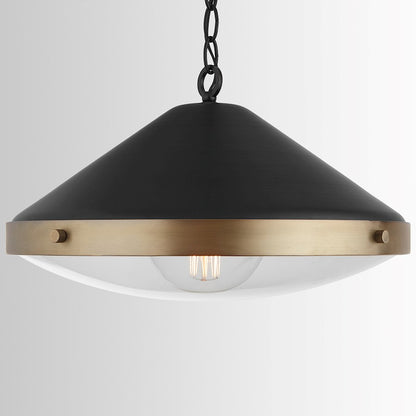 1 Light Pendant