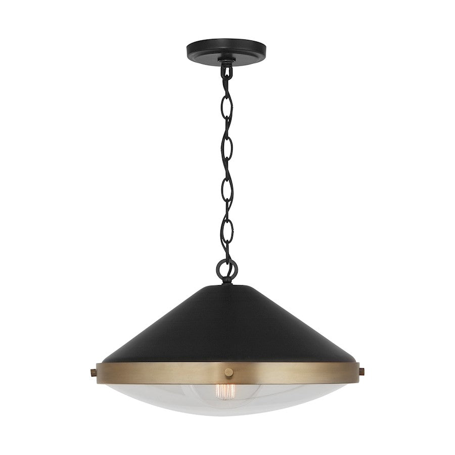 1 Light Pendant