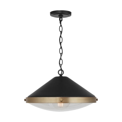1 Light Pendant