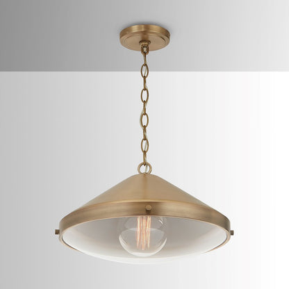 1 Light Pendant
