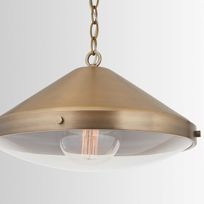 1 Light Pendant