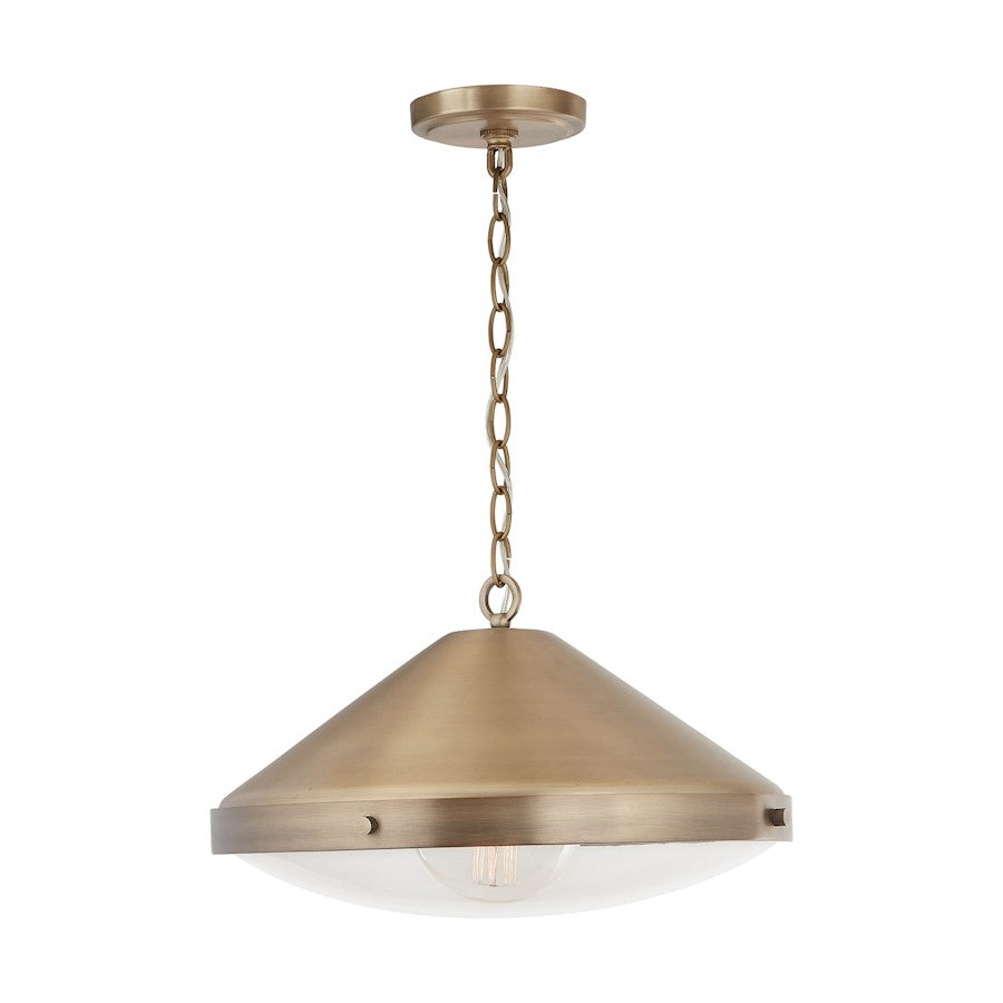 1 Light Pendant
