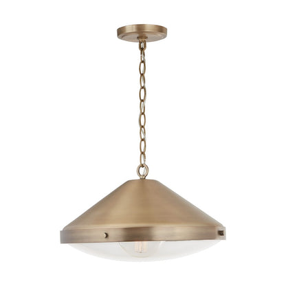 1 Light Pendant