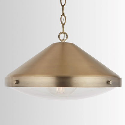 1 Light Pendant