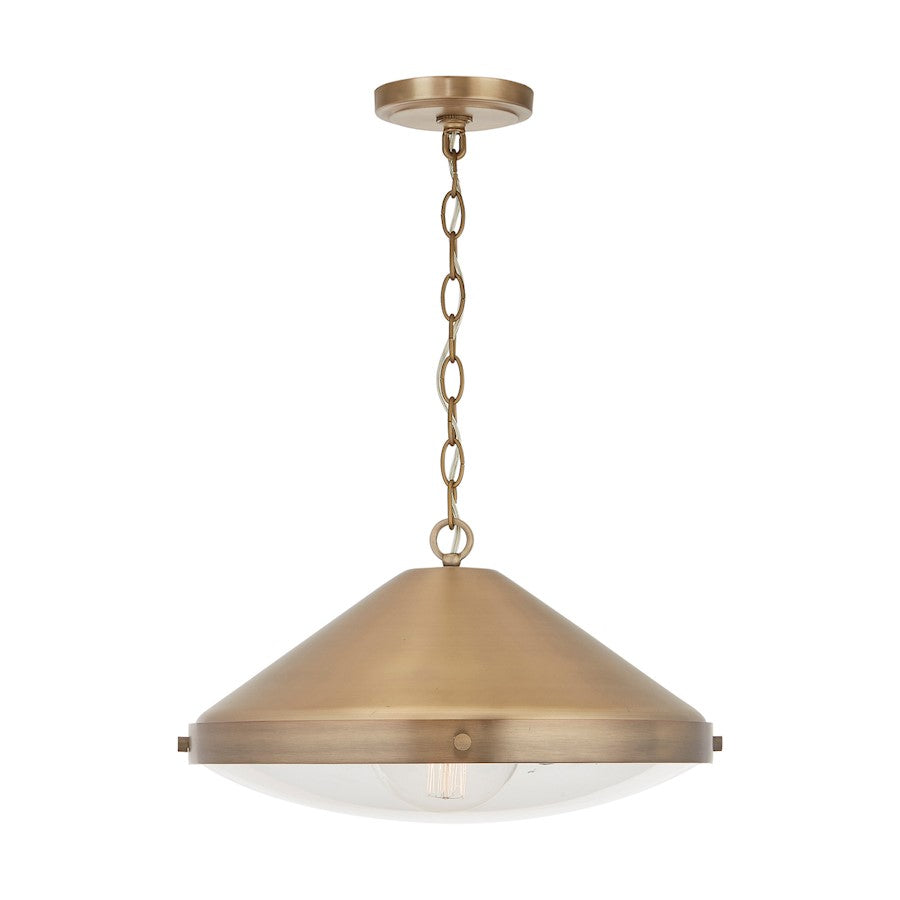 1 Light Pendant
