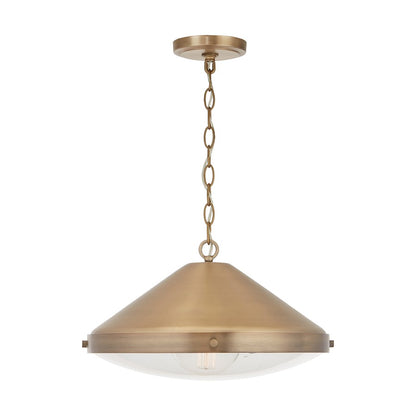 1 Light Pendant