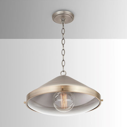 1 Light Pendant