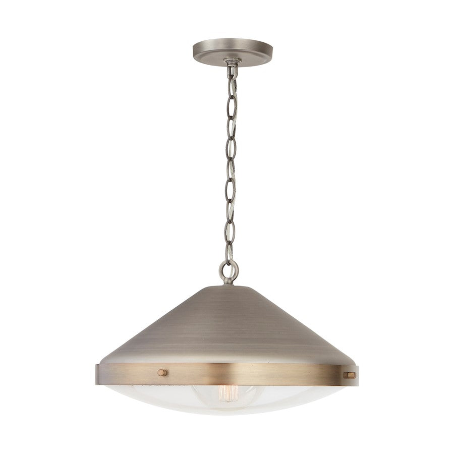 1 Light Pendant