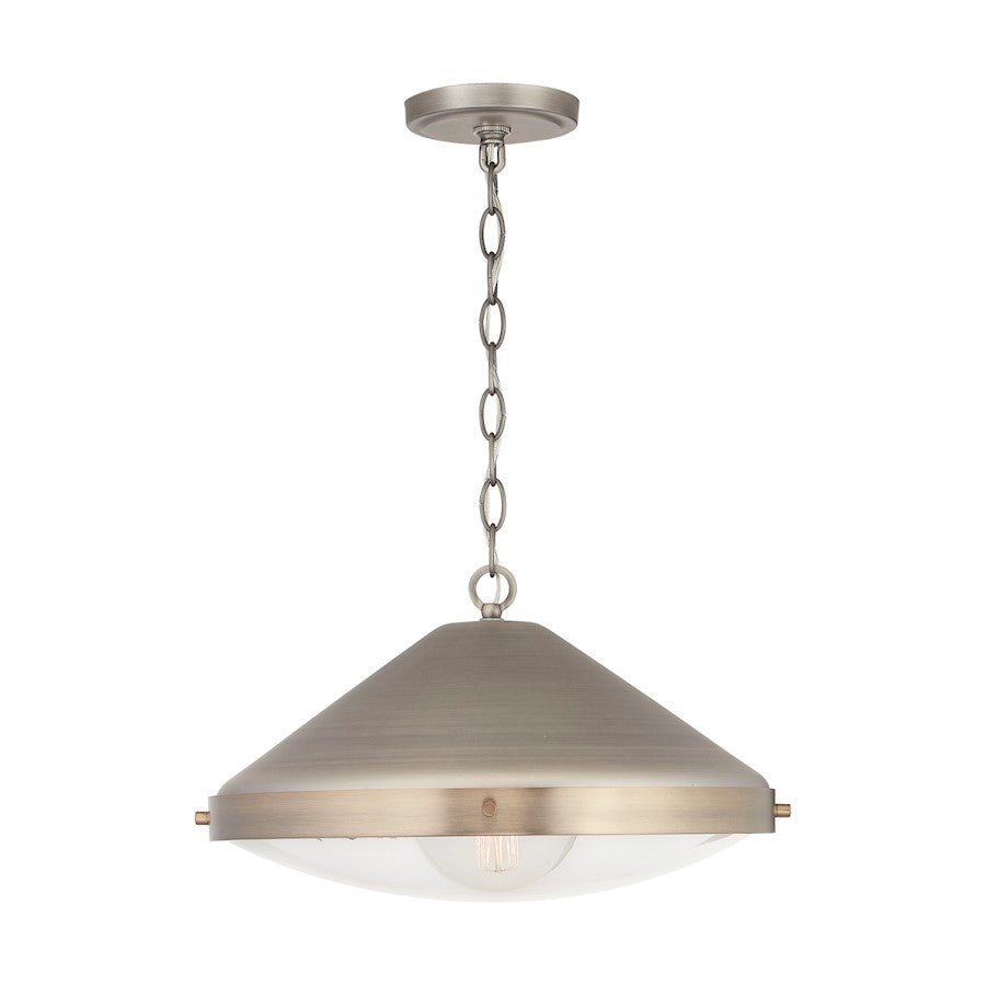 1 Light Pendant