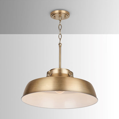 1 Light Pendant