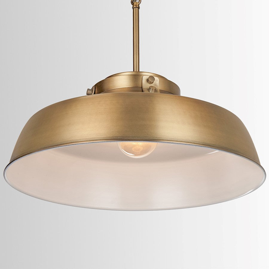 1 Light Pendant