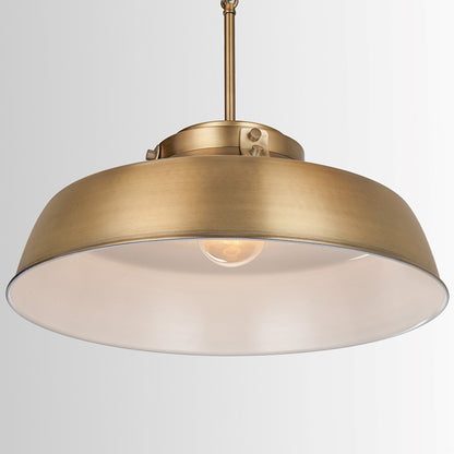 1 Light Pendant