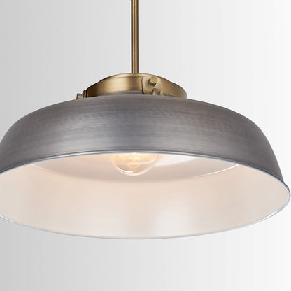 1 Light Pendant