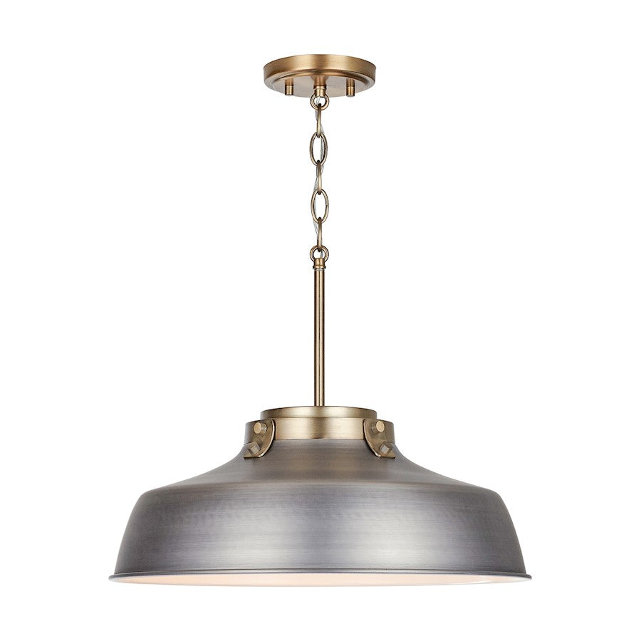 1 Light Pendant