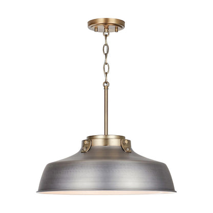 1 Light Pendant