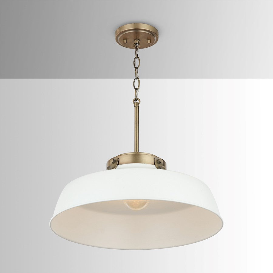 1 Light Pendant