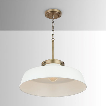 1 Light Pendant