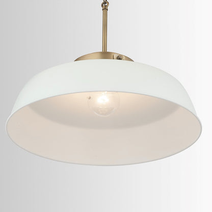 1 Light Pendant