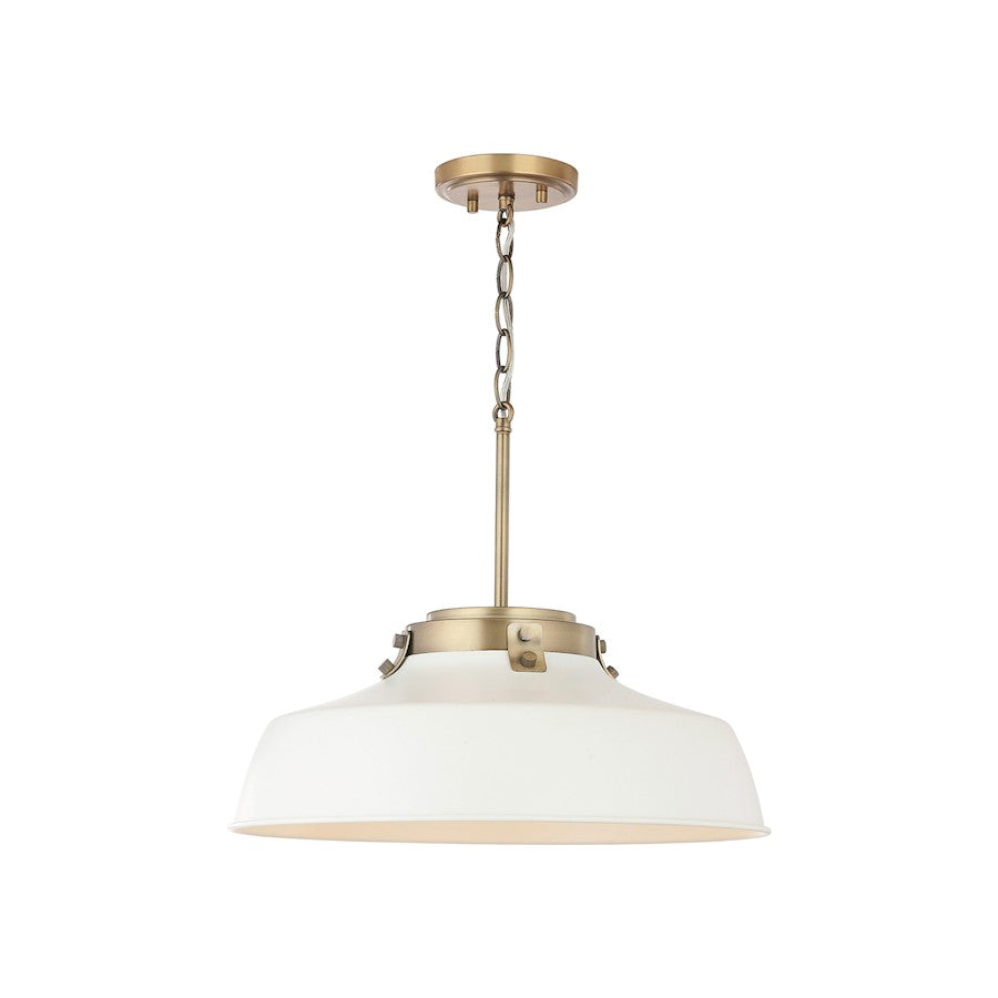 1 Light Pendant