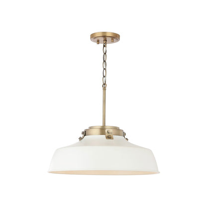 1 Light Pendant